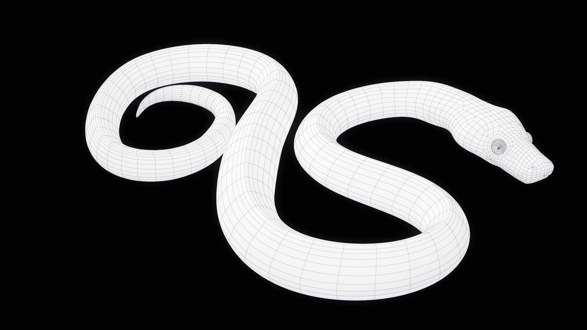 Ball Royal Python Snake Rigged PBR 3D model https://p.turbosquid.com/ts-thumb/Zy/AVeR01/WO/turncwire_00006/png/1709727948/1920x1080/fit_q87/cf6423b58fcf0c16b7ed99805fcff277bb012824/turncwire_00006.jpg