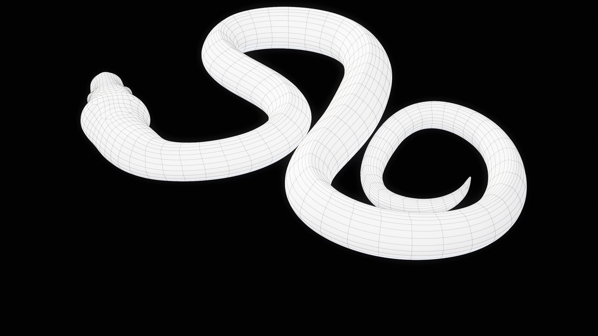 Ball Royal Python Snake Rigged PBR 3D model https://p.turbosquid.com/ts-thumb/Zy/AVeR01/Wz/turncwire_00020/png/1709727956/1920x1080/fit_q87/b19195999047427cbc6b3cc9fbca15ef020b837b/turncwire_00020.jpg