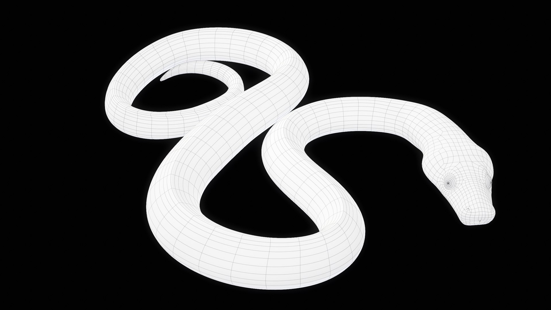 Ball Royal Python Snake Rigged PBR 3D model https://p.turbosquid.com/ts-thumb/Zy/AVeR01/YE/turncwire_00004/png/1709727947/1920x1080/fit_q87/bfd25a48d314208d3de46339a40bbeee2d40ca3f/turncwire_00004.jpg