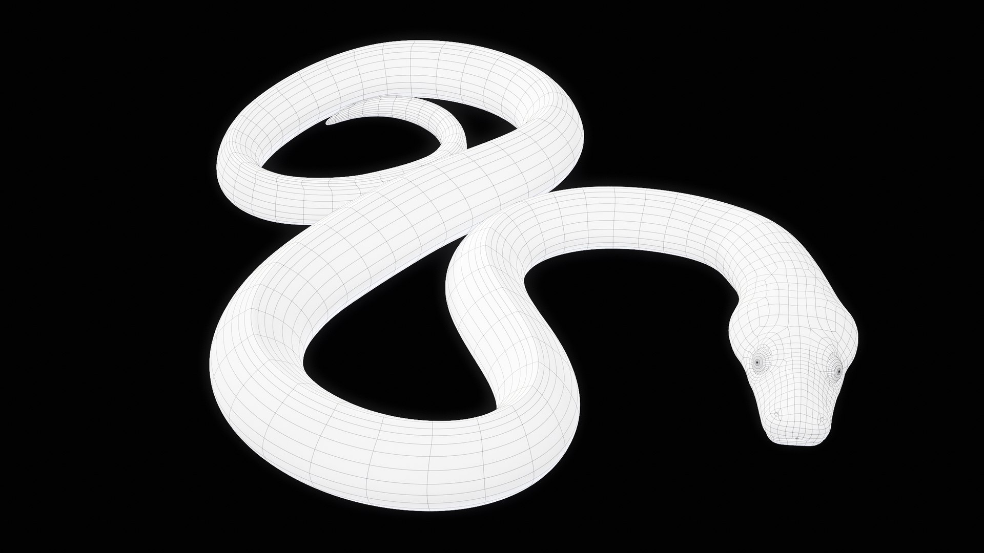 Ball Royal Python Snake Rigged PBR 3D model https://p.turbosquid.com/ts-thumb/Zy/AVeR01/Z0/turncwire_00003/png/1709727947/1920x1080/fit_q87/180b50d6867137e01770df5c6881cde3b2148187/turncwire_00003.jpg