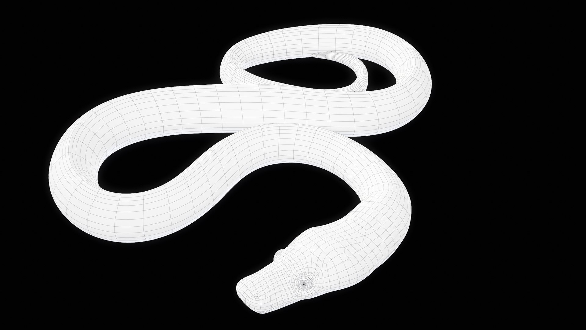 Ball Royal Python Snake Rigged PBR 3D model https://p.turbosquid.com/ts-thumb/Zy/AVeR01/i4/turncwire_00029/png/1709727961/1920x1080/fit_q87/dadae72e6af0040c90c9c88e2197fbd6a600dab3/turncwire_00029.jpg