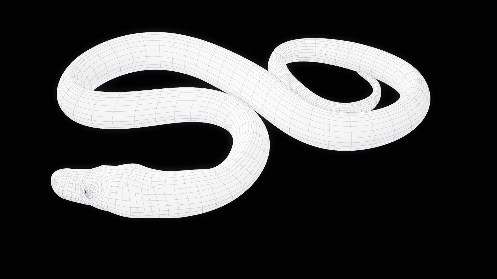 Ball Royal Python Snake Rigged PBR 3D model https://p.turbosquid.com/ts-thumb/Zy/AVeR01/kP/turncwire_00025/png/1709727959/1920x1080/fit_q87/4595b41b3d4f370f6495a9315f7b312924084bc4/turncwire_00025.jpg