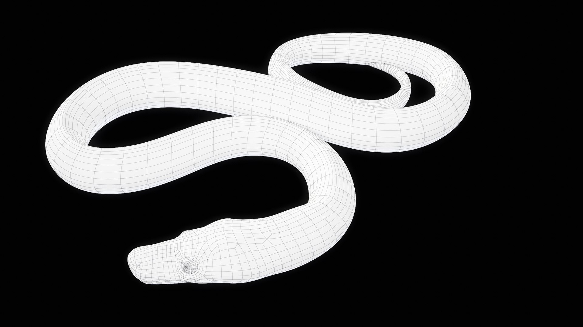 Ball Royal Python Snake Rigged PBR 3D model https://p.turbosquid.com/ts-thumb/Zy/AVeR01/mr/turncwire_00027/png/1709727960/1920x1080/fit_q87/4140c302ad770bdcd38e6e3e1ae8166c6adb49a5/turncwire_00027.jpg