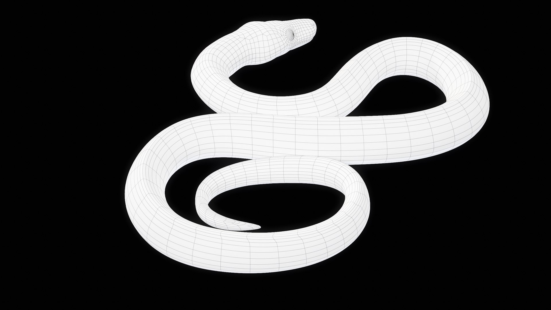 Ball Royal Python Snake Rigged PBR 3D model https://p.turbosquid.com/ts-thumb/Zy/AVeR01/nO/turncwire_00014/png/1709727952/1920x1080/fit_q87/80481b1886ad473f9b7041e3b4ba9583060bd092/turncwire_00014.jpg