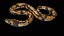 Palla Royal Python Snake truccato PBR