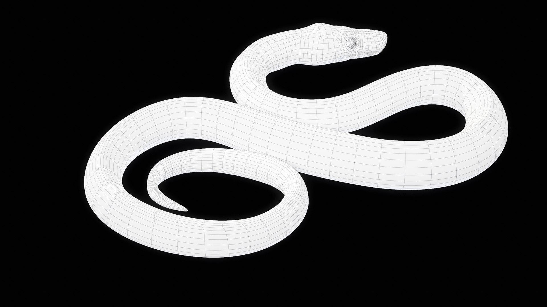 Ball Royal Python Snake Rigged PBR 3D model https://p.turbosquid.com/ts-thumb/Zy/AVeR01/of/turncwire_00012/png/1709727951/1920x1080/fit_q87/72ee638038cb2c00feb056f85f9a7b112c5fdc61/turncwire_00012.jpg