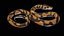 Palla Royal Python Snake truccato PBR