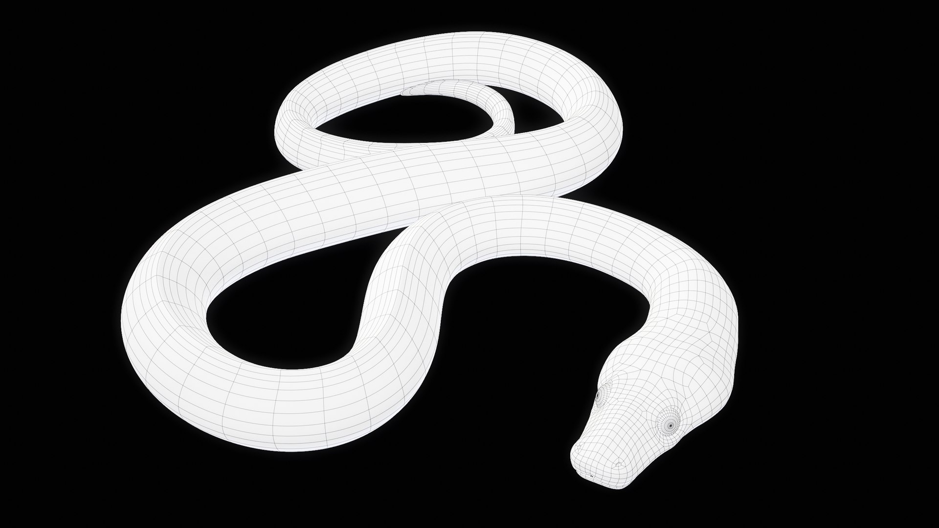 Ball Royal Python Snake Rigged PBR 3D model https://p.turbosquid.com/ts-thumb/Zy/AVeR01/t9/turncwire_00001/png/1709727945/1920x1080/fit_q87/f8ebe39573da2c1716202b386e701f53275b8f51/turncwire_00001.jpg