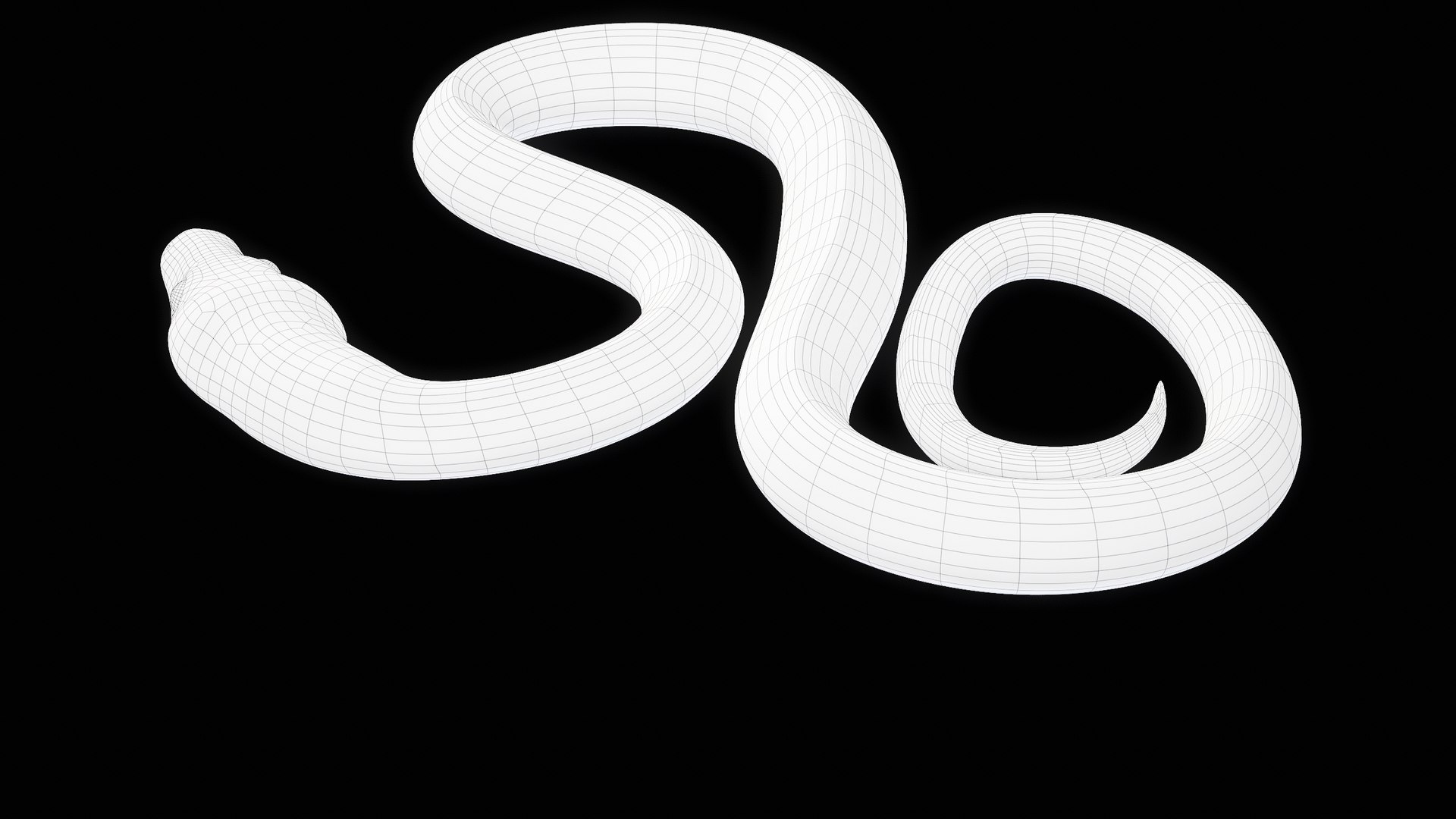 Ball Royal Python Snake Rigged PBR 3D model https://p.turbosquid.com/ts-thumb/Zy/AVeR01/uE/turncwire_00021/png/1709727957/1920x1080/fit_q87/013888c1644ce7fd0ec1c8c67c726f1cb5e5bf1f/turncwire_00021.jpg