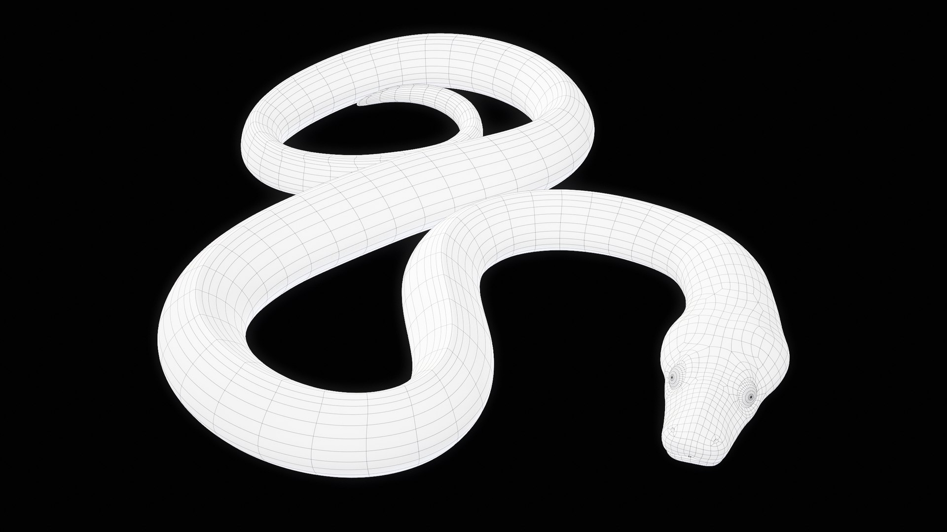 Ball Royal Python Snake Rigged PBR 3D model https://p.turbosquid.com/ts-thumb/Zy/AVeR01/v4/turncwire_00002/png/1709727946/1920x1080/fit_q87/0b33a10b261326abc70762d3ec8defb886961f43/turncwire_00002.jpg