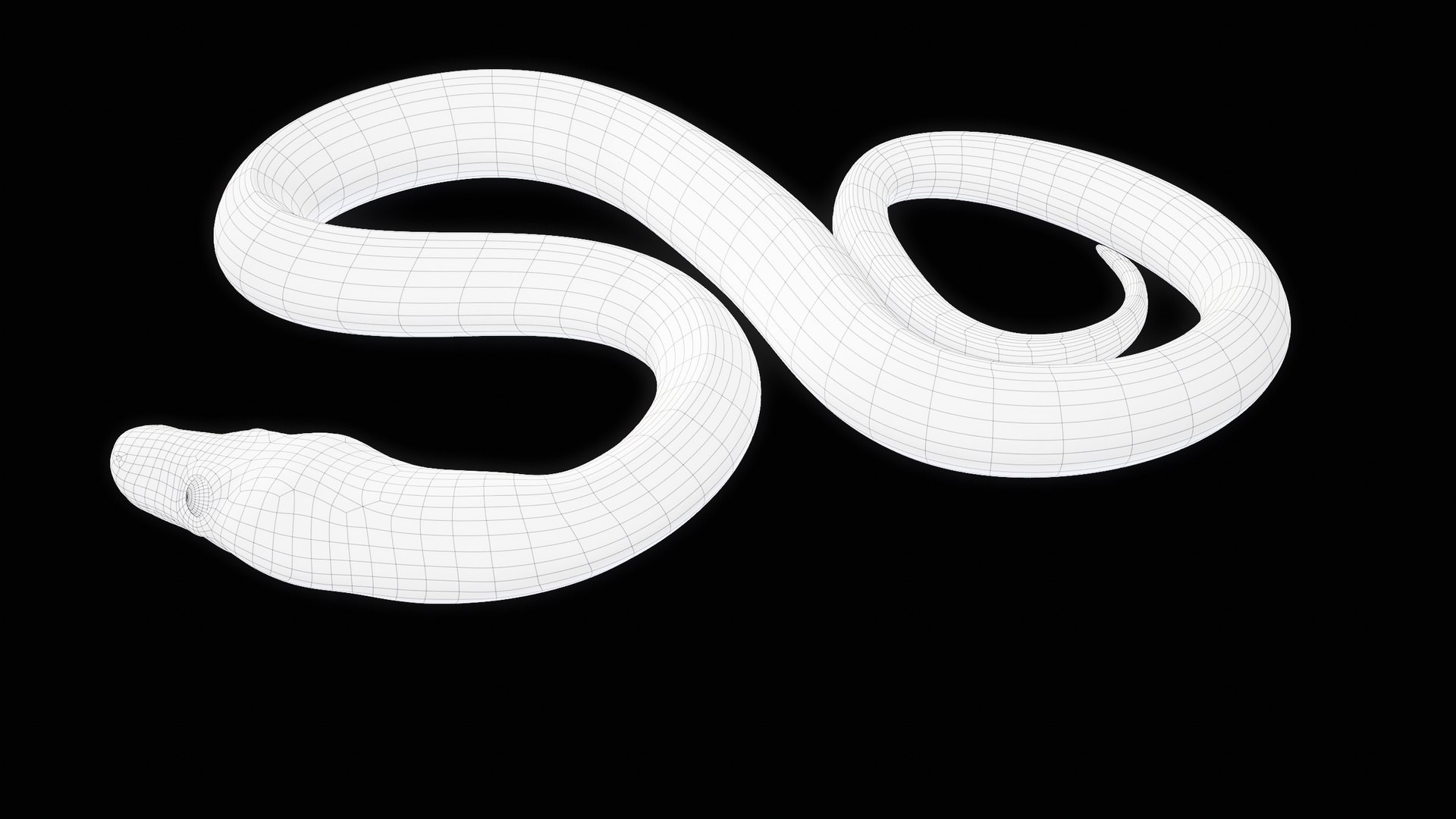 Ball Royal Python Snake Rigged PBR 3D model https://p.turbosquid.com/ts-thumb/Zy/AVeR01/yv/turncwire_00024/png/1709727958/1920x1080/fit_q87/2c918a278500e03a93644cb13bec11f8932da513/turncwire_00024.jpg