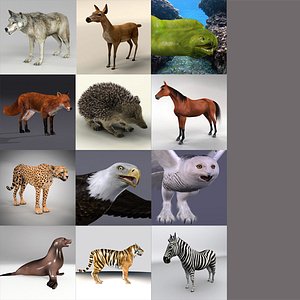 Animals Collection 0311