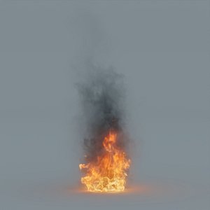 High Rez 3D Fire with Medium Flames Perfectly Loopable in 120 frames - VDB Model