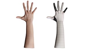 Retopologized Hand scan Noah George 3D