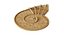 Sandbox Snail