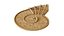 Sandbox Snail