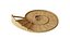 Sandbox Snail