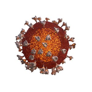 coronavirus covid19 3D model