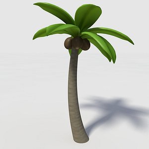 Palm Tree