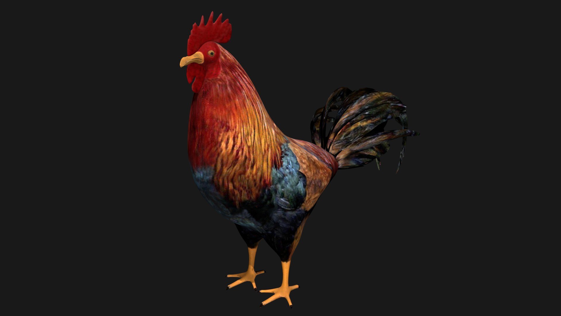 3d Model Hen Rigged - Turbosquid 1664252