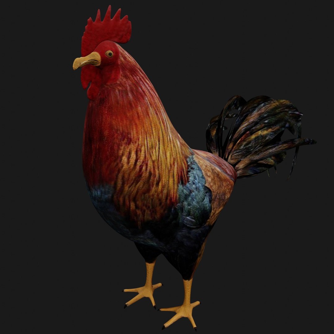 3D Model Hen Rigged - TurboSquid 1664252