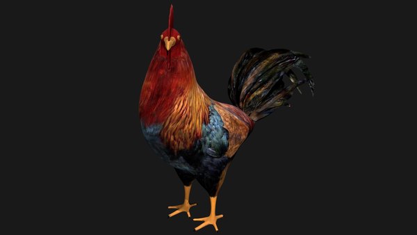 3d Model Hen Rigged - Turbosquid 1664252