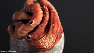 Cute little tentacle egg monster