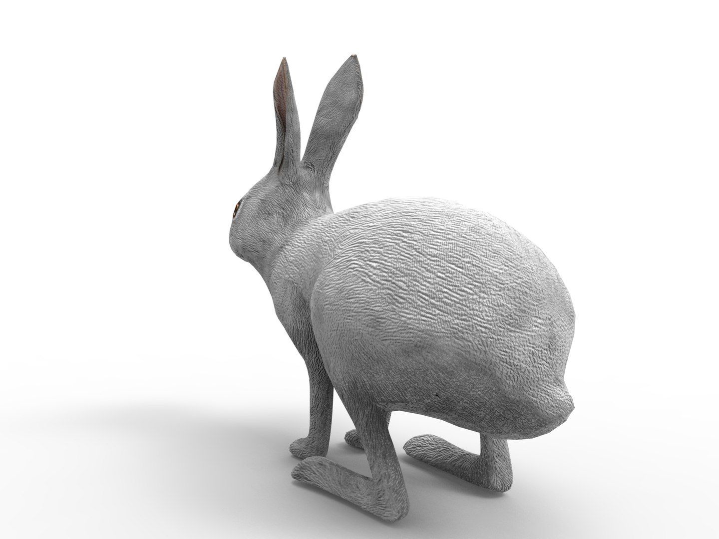 Rabbit Rigged 3D Model - TurboSquid 1198719