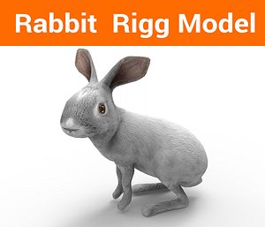 rabbit rigged 3D model