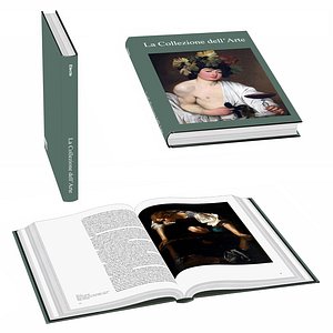 Book - La collezione dell arte model