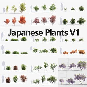 Package 04 Japanese Plants 3D model