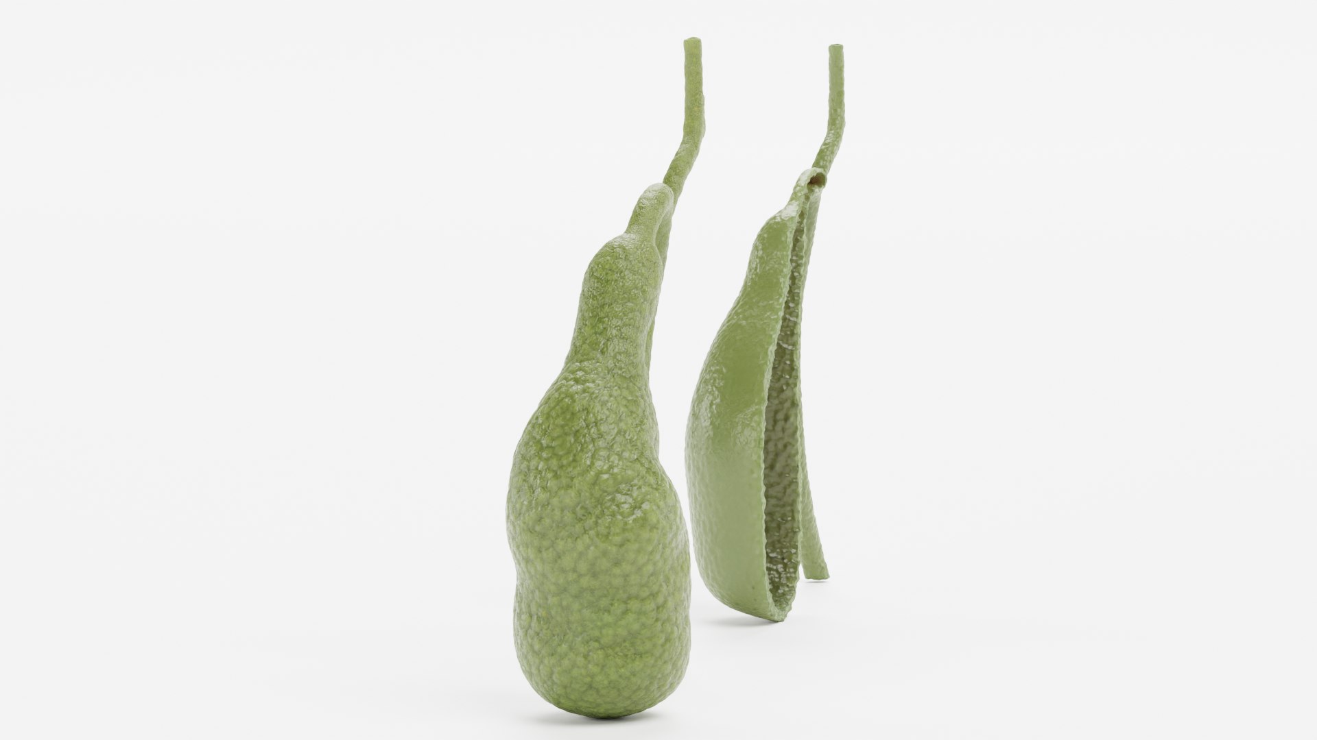 3D Gallbladder and Gallbladder Section model https://p.turbosquid.com/ts-thumb/Zy/rDvTjf/n9/gallbladderandgallbladdersectiond/png/1625648276/1920x1080/fit_q87/376d309c5115ad7cdc45fd8fc83138c81ae18017/gallbladderandgallbladdersectiond.jpg