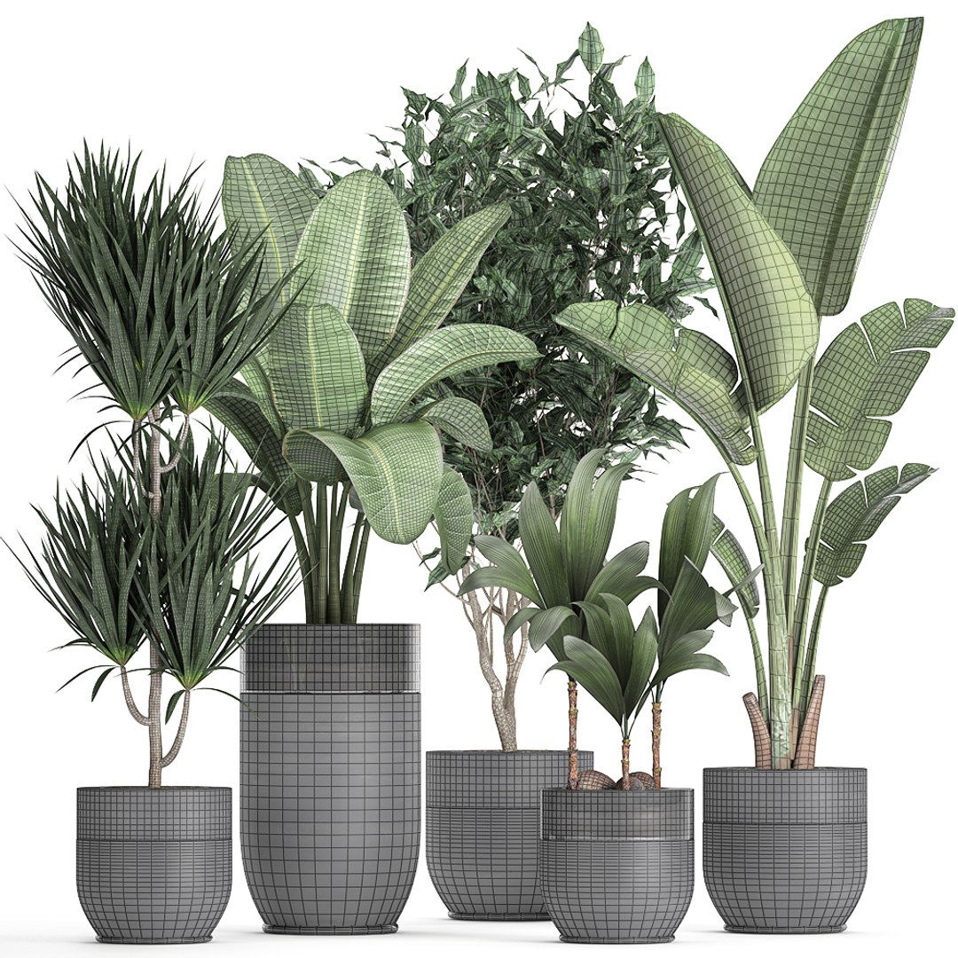 Interior black houseplants 3D model - TurboSquid 1628820