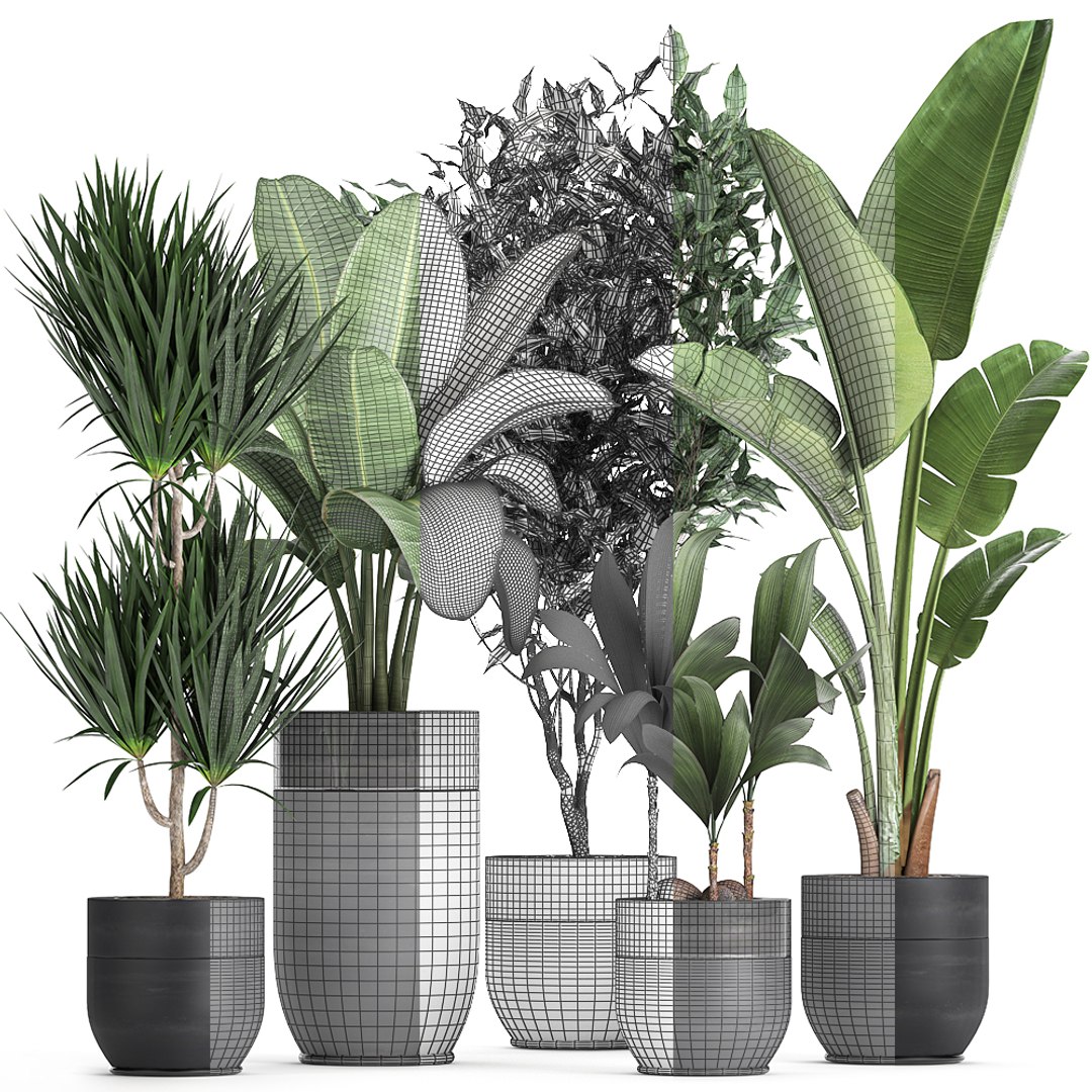 Interior black houseplants 3D model - TurboSquid 1628820