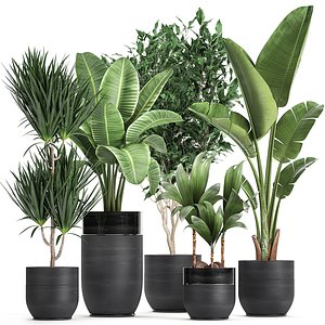 interior black houseplants 3D model