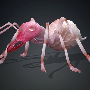 Ant-V3a 3D model
