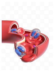 Vascular Close-up Medical Cell Red
