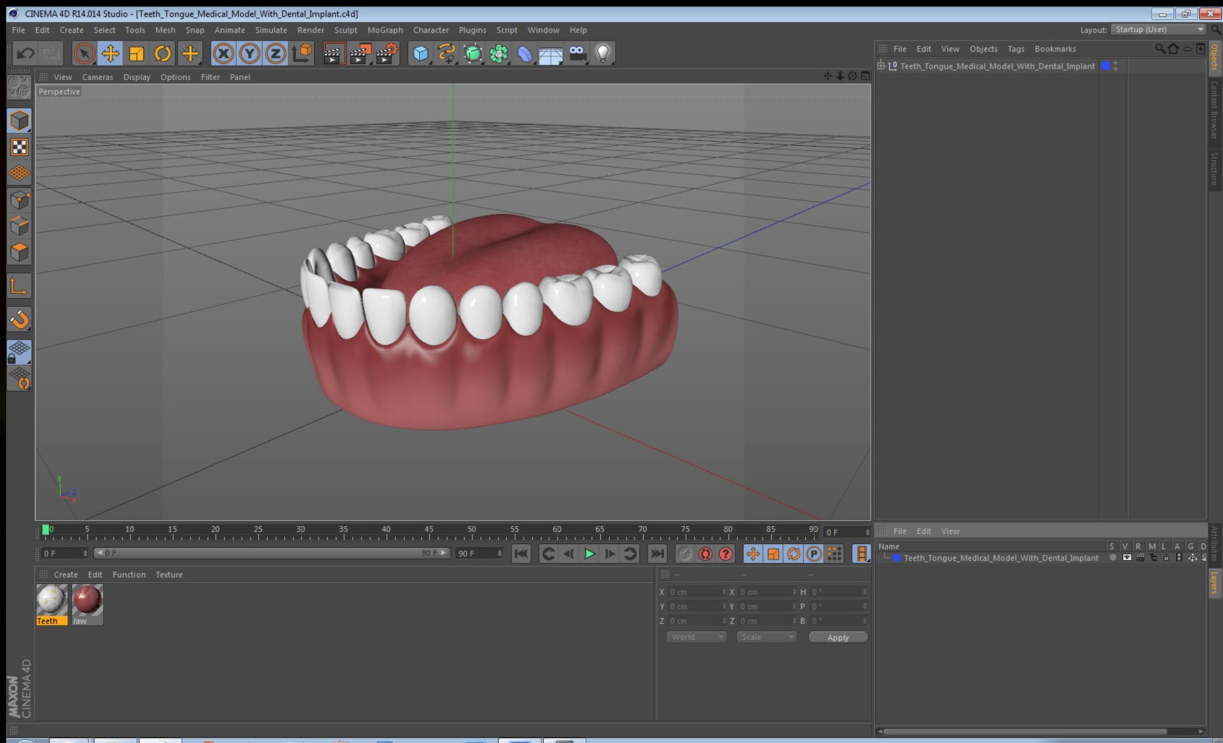 Teeth tongue medical dental model - TurboSquid 1428841