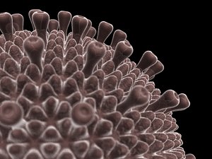 3dsmax hiv virus 2