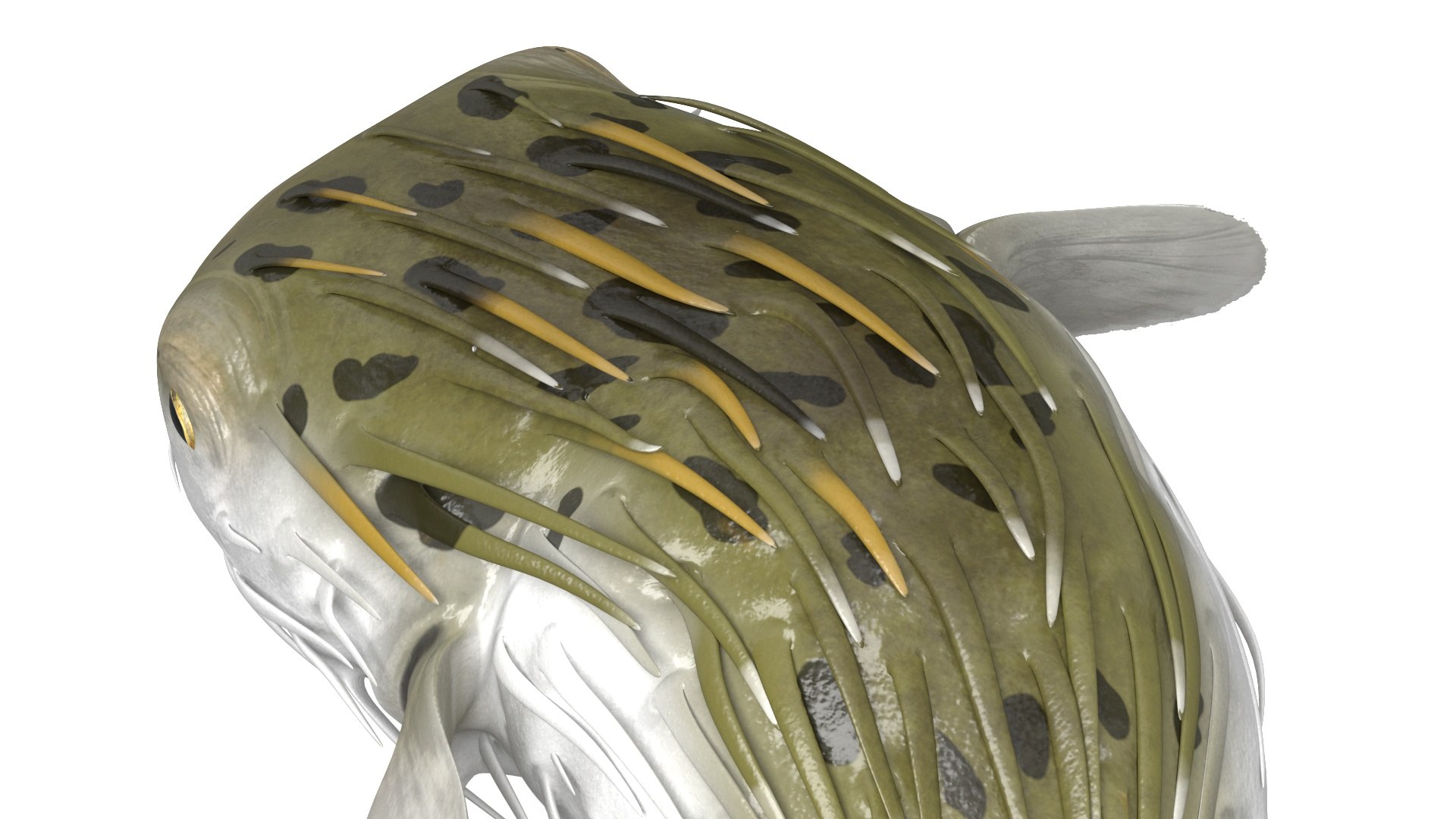 Puffer Fish Rigged model https://p.turbosquid.com/ts-thumb/Zz/LbdV84/C6/pufferfishrigged3dmodel015/jpg/1707866804/1920x1080/fit_q87/fc47638239e06187d12665487ff9f9a6582a6951/pufferfishrigged3dmodel015.jpg