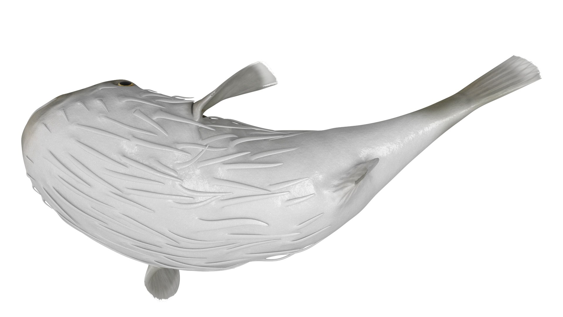 Puffer Fish Rigged model https://p.turbosquid.com/ts-thumb/Zz/LbdV84/PB/pufferfishrigged3dmodel014/jpg/1707866801/1920x1080/fit_q87/b60642161c9d796fea56b23decec3754335844e3/pufferfishrigged3dmodel014.jpg