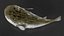 Puffer Fish Rigged
