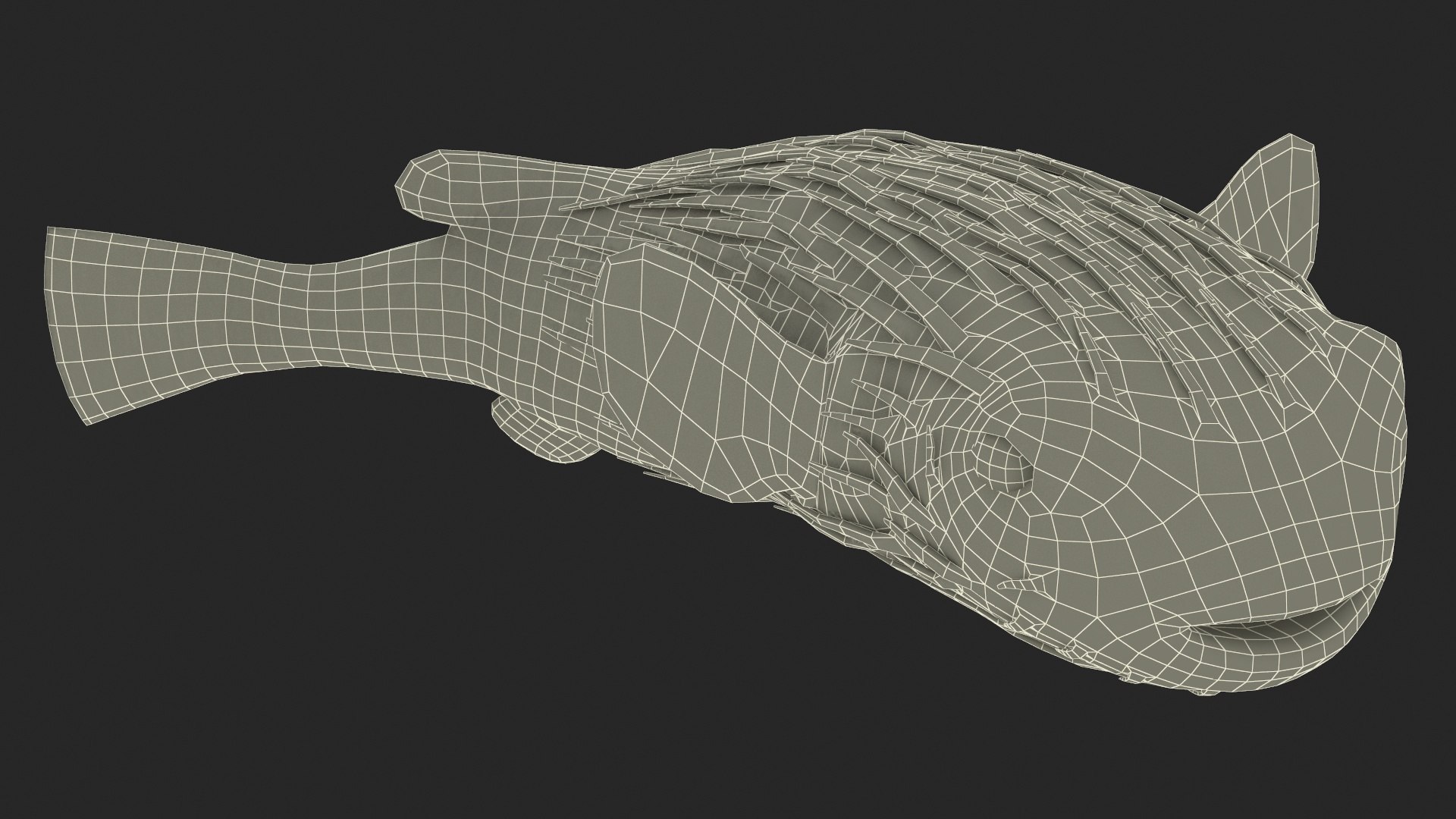 Puffer Fish Rigged model https://p.turbosquid.com/ts-thumb/Zz/LbdV84/xT/pufferfishrigged3dmodel023/jpg/1707866835/1920x1080/fit_q87/92e5af01c723533d346b6a87bf8793fb1a7fbd36/pufferfishrigged3dmodel023.jpg