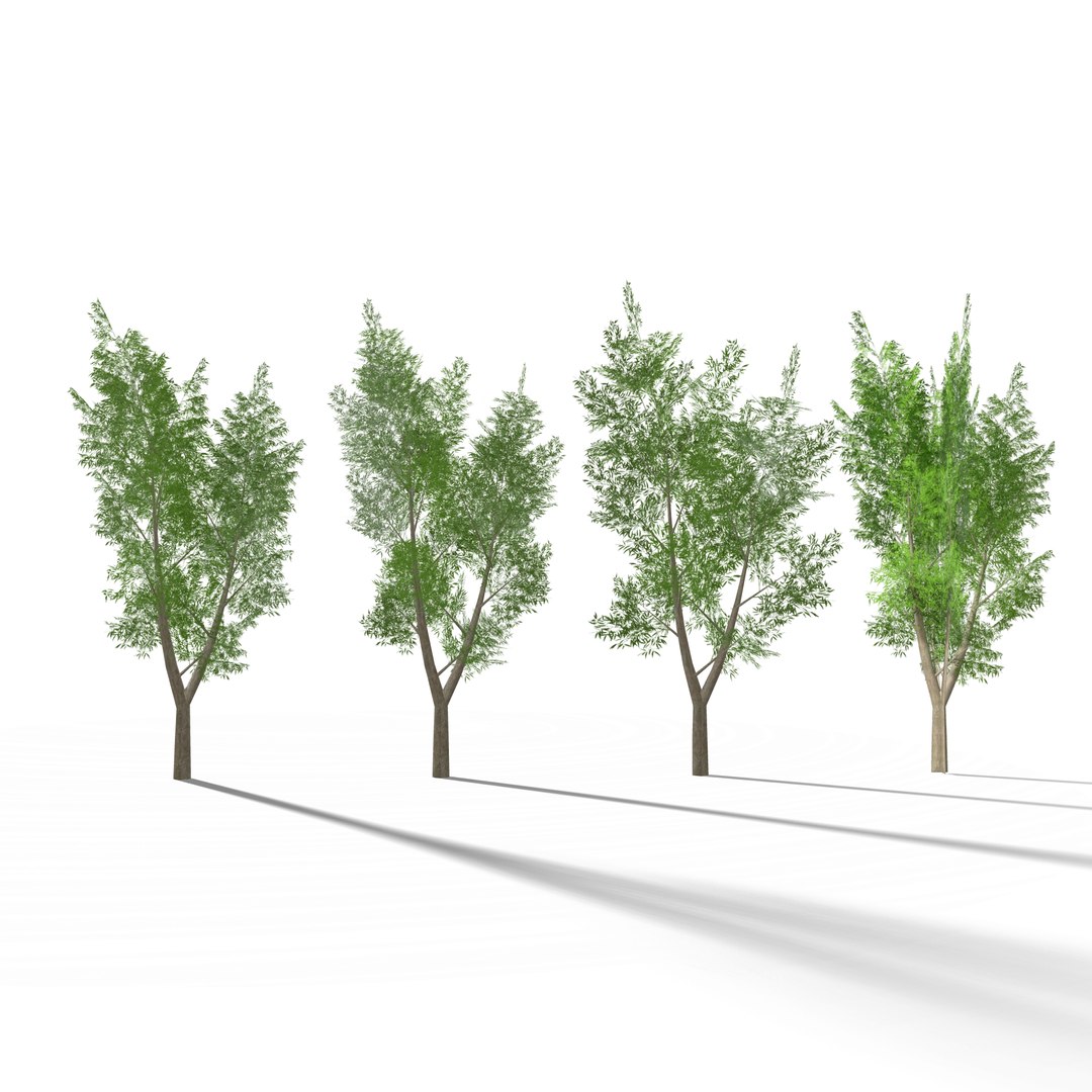 Landscape Trees 3d Model Turbosquid 1248221 Landscape Trees 3d Model Turbosquid 1248221