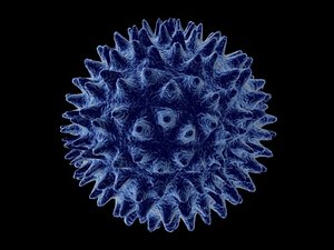 cinema4d bacteria cell