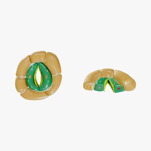Plant Stomata Structure 3D model