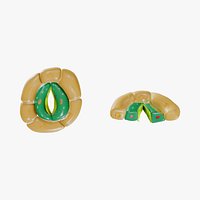 Plant Stomata Structure