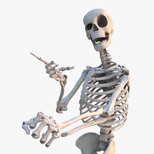 3D Skeleton  Rigged