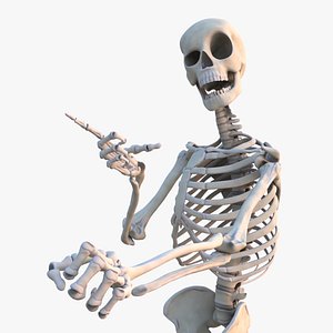 Skeleton Rigged
