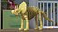 Triceratops Dinosaur Skeleton Toy